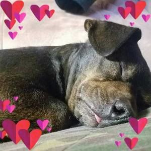 Meet your Posher, Angie